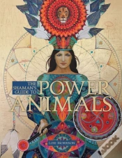 Capa do artigo The Shaman