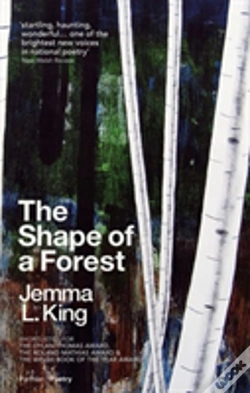 Capa do artigo The Shape Of A Forest