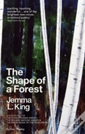 Capa do artigo The Shape Of A Forest