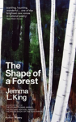 The Shape Of A Forest