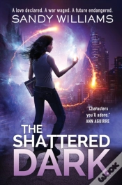 Capa do artigo The Shattered Dark