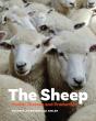 The Sheep - Preview