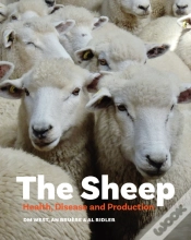 Capa do artigo The Sheep