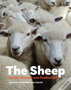 Capa do artigo The Sheep