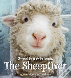 Capa do artigo The Sheepover