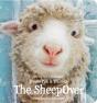 The Sheepover - Preview