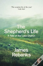 Capa do artigo The Shepherd