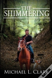 Capa do artigo The Shimmering