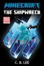 The Shipwreck - Preview