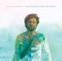 The Shipwreck from the Shore - Vinil - Preview