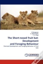 The Short-Nosed Fruit Bat
