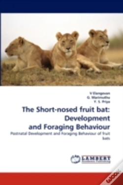 Capa do artigo The Short-Nosed Fruit Bat