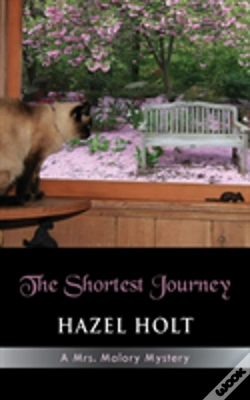 Capa do artigo The Shortest Journey
