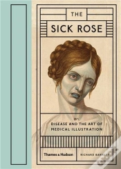 Capa do artigo The Sick Rose