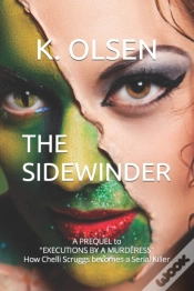 Capa do artigo The Sidewinder