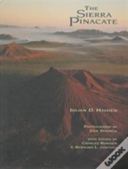 The Sierra Pinacate