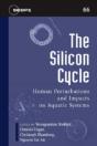 The Silicon Cycle - Preview