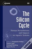 The Silicon Cycle