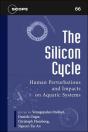 The Silicon Cycle - Preview