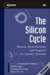 Capa do artigo The Silicon Cycle