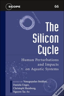 Capa do artigo The Silicon Cycle