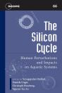 The Silicon Cycle - Preview