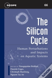 Capa do artigo The Silicon Cycle