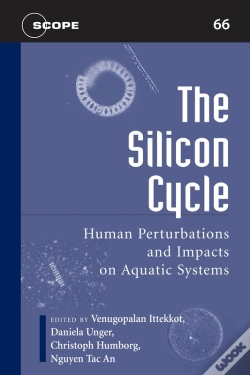 Capa do artigo The Silicon Cycle