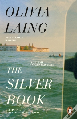 Capa do artigo The Silver Book