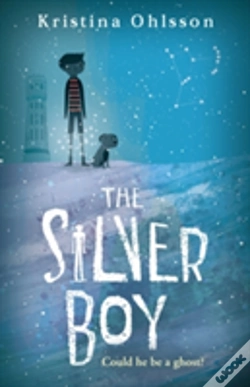 Capa do artigo The Silver Boy