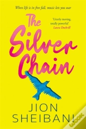 Capa do artigo The Silver Chain