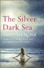 The Silver Dark Sea - Preview