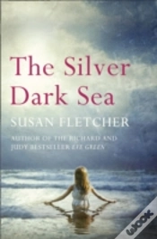 Capa do artigo The Silver Dark Sea