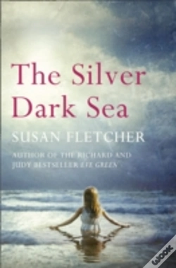 Capa do artigo The Silver Dark Sea