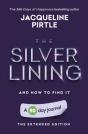 The Silver Lining - And How To Find It - Preview
