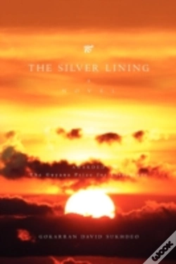 Capa do artigo The Silver  Lining