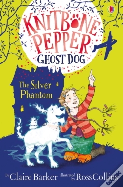 Capa do artigo The Silver Phantom