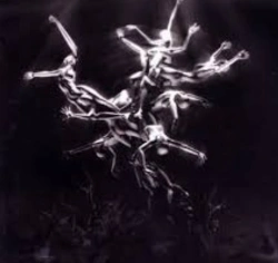 Capa do artigo The Silver Tree - CD