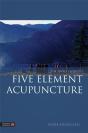 The Simple Guide To Five Element Acupuncture - Preview