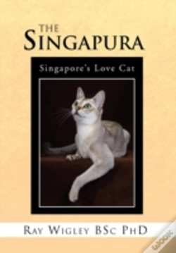 Capa do artigo The Singapura