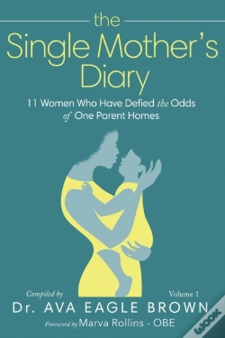 Capa do artigo The Single Mother'S Diary