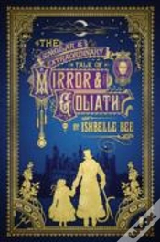 Capa do artigo The Singular & Extraordinary Tale Of Mirror & Goliath