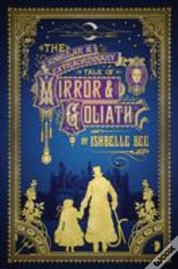 Capa do artigo The Singular & Extraordinary Tale Of Mirror & Goliath