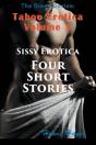 The Sissy Series - Preview