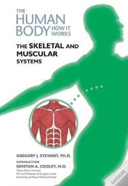 Capa do artigo The Skeletal And Muscular Systems