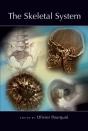 The Skeletal System - Preview