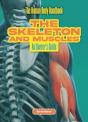 The Skeleton And Muscles - Preview