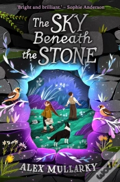 Capa do artigo The Sky Beneath The Stone
