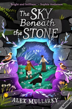 Capa do artigo The Sky Beneath The Stone