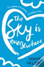 Capa do artigo The Sky Is Everywhere